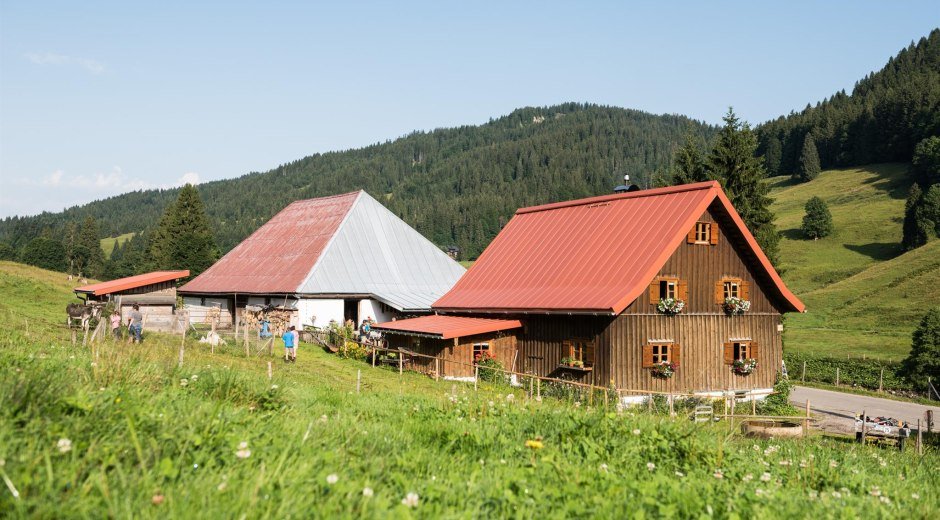 Alpe Schattwald im Rohrmoostal © Tourismus Hörnerdörfer, F. Kjer