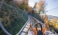 alpsee-coaster © Alpsee Bergwelt