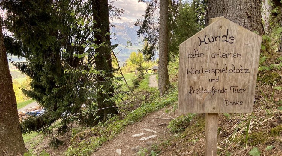 Hochbichl Hütte in Ofterschwang © Tourismus Hörnerdörfer