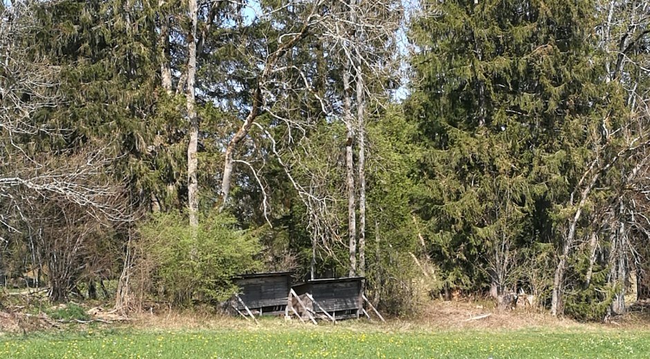 Die Bienenstöcke © Tourismus Hörnerdörfer GmbH
