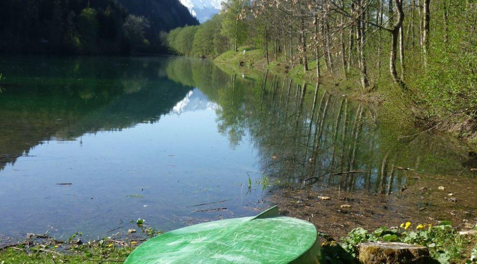 Kleinod Auwaldsee © Tourismus Hörnerdörfer GmbH