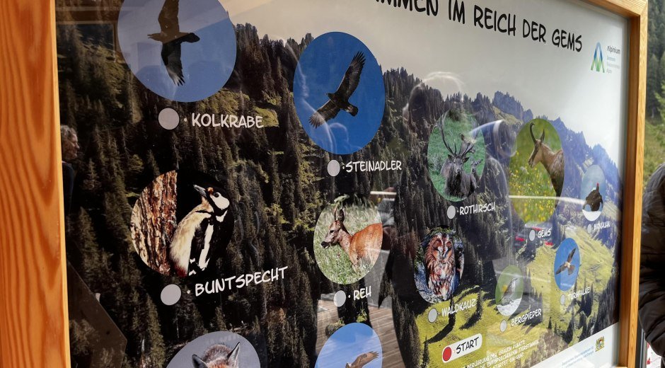 Interaktive Tierstimmen © Tourismus Hörnerdörfer