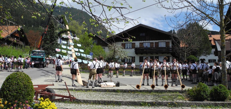 Die ersten Löwenzahnwiesen stehen in voller Blüte und es wieder grün wird im Allgäu. Die Tradition gebietet es, das frische Grün mit dem Maibaumaufstellen zu begrüßen. © ©Gemeinde Burgberg