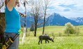 Der 3-D-Parcours im Tal eignet sich auch für Gr... © Tourismus Hörnerdörfer, ProVisionMedia