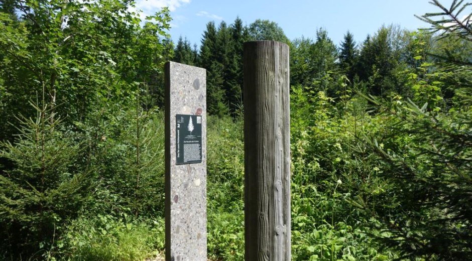 Walderlebnisweg 12 Tore © Tourismus Hörnerdörfer, MA