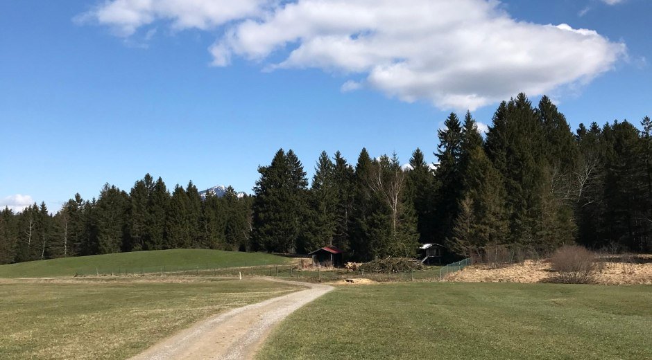 Der Weg führt über grüne Wiesen und Wälder © Tourismus Hörnerdörfer, L. Renn