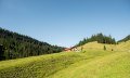 Schwabenalpe bei Obermaiselstein © Tourismus Hörnerdörfer, F. Kjer
