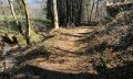 Feldweg am Bachlauf © Tourismus Hörnerdörfer, S. Kjer