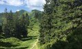 Blick zum Riedbergerhorn © Tourismus Hörnerdörfer, L. Renn