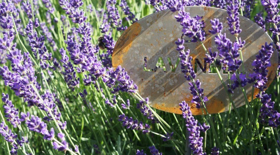 Kräutergarten in Balderschwang im Allgäu © Kienles