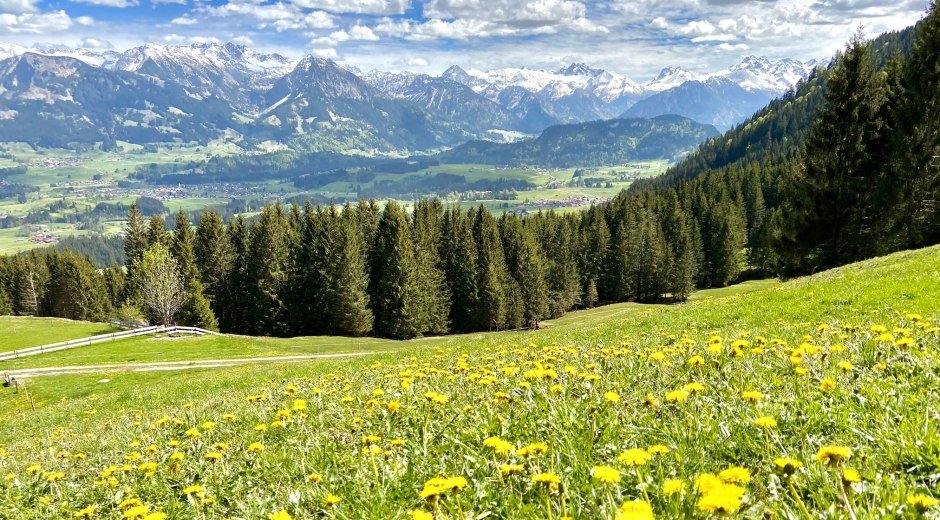 Blick auf Illertal und Allgäuer Hauptkamm © Tourismus Hörnerdörfer GmbH