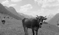 Gitta vor Allgäuer Landschaft 1940 © Lala Aufsberg, Archiv Heimatbund Allgäu e.V.