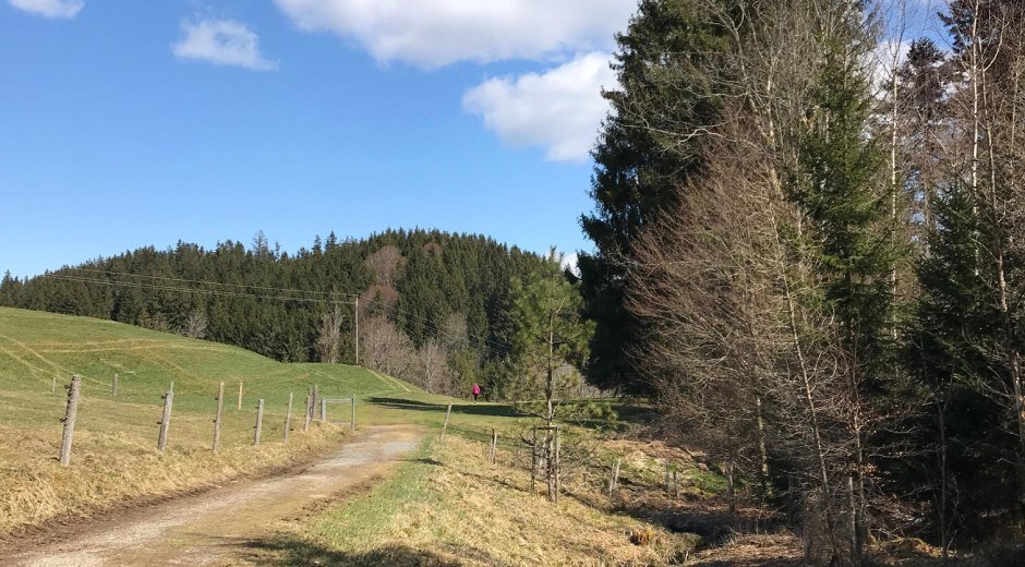 Wiesenweg © Tourismus Hörnerdörfer, L. Renn