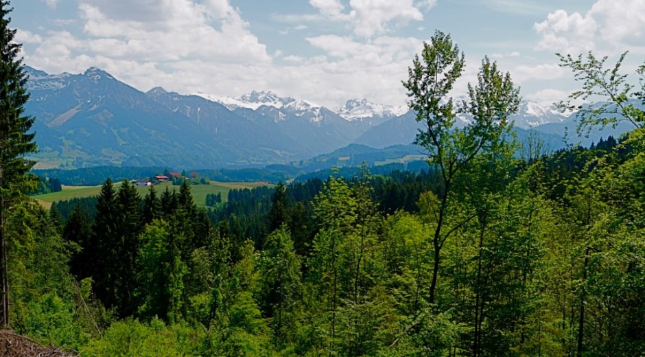 Blick nach Süden auf die Oberstdorfer Alpen