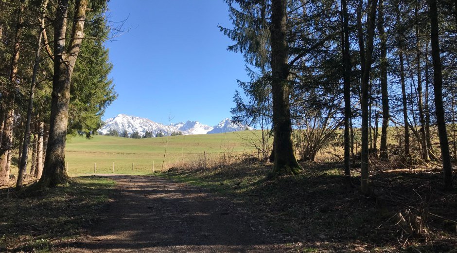 Lichtung mit Blick auf die gegenüberliegenden Berggipfel
