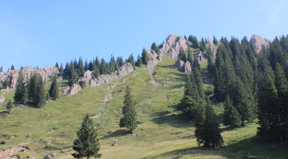 Blick nach oben, Nagelfluhkette © Tourismus Hörnerdörfer GmbH
