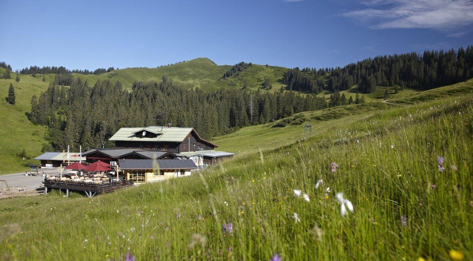Grüne Wiesen und umgeben von grasenden Kühen © Berghütte Grasgehren