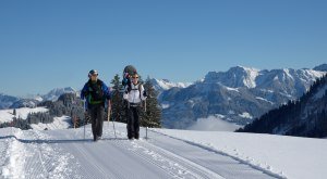 Winterwandern in Bolsterlang © Tourismus Hoernerdoerfer, @Siegfried Bruckmeier