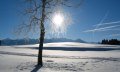 Winterwandern Tiefenberger Moos © Tourismus Hörnerdörfer, MA
