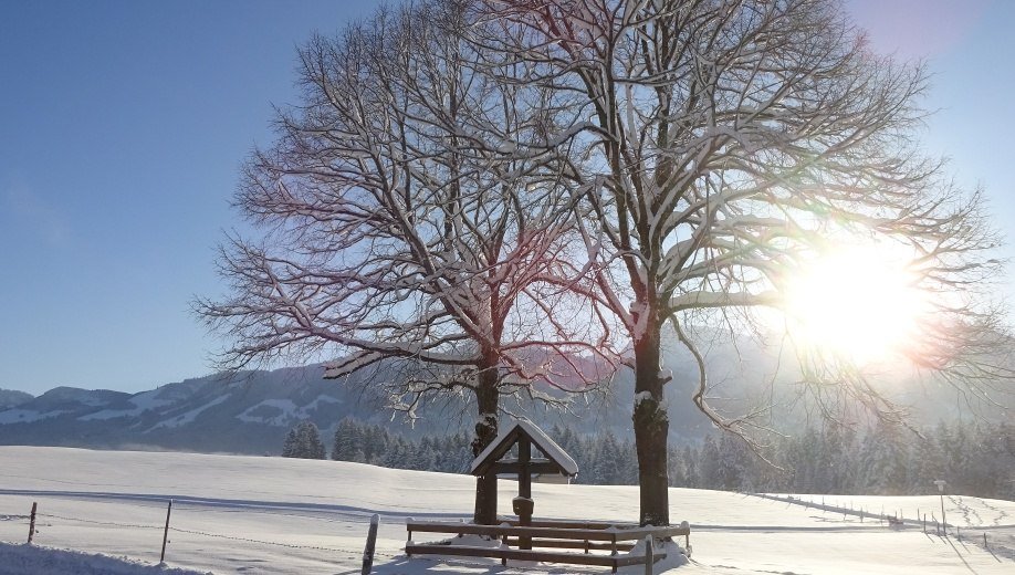 Wegkreuz am Ortseingang in Bolsterlang