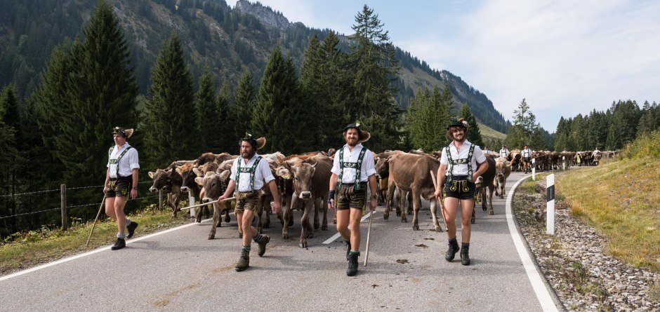 Abtrieb ins Tal über den Riedbergpass © Tourismus Hörnerdörfer