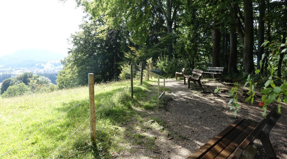 Tipp: Aussichtspunkt Malerwinkel mit Ruhebänken