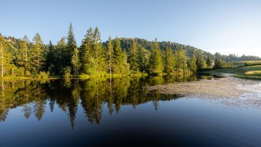 Das Hochmoor entdecken © Nico Bogenreuther, Oberstaufen Tourismus