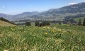 Blick auf die gegenüberliegenden Sonnenköpfe
