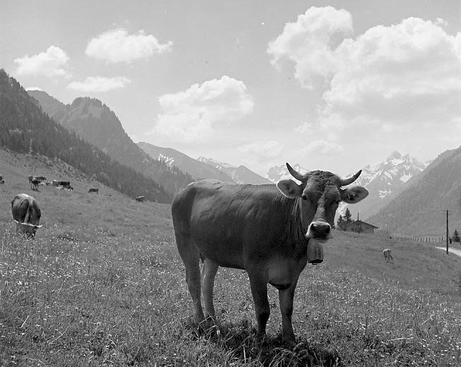 Gitta vor Allgäuer Landschaft 1940 © Lala Aufsberg, Archiv Heimatbund Allgäu e.V.