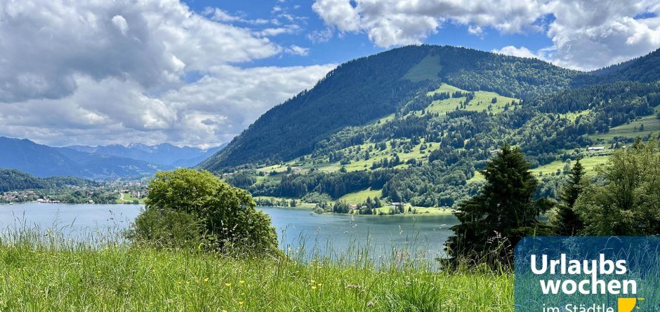 Panorama Großer Alpsee © Dein Wanderguide, Nele Beschoner.jpeg © Dein Wanderguide, Nele Beschoner