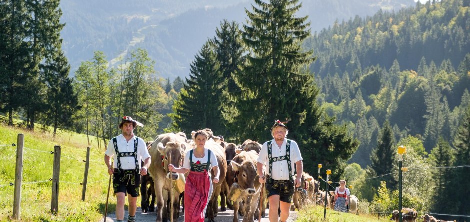 Viehscheid - Einzug der Kühe in Balderschwang © Tourismus Hörnerdörfer, ProVision Media