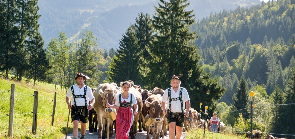 Viehscheid - Einzug der Kühe in Balderschwang © Tourismus Hörnerdörfer, ProVision Media