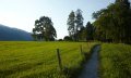 Weg durch die Wiesen