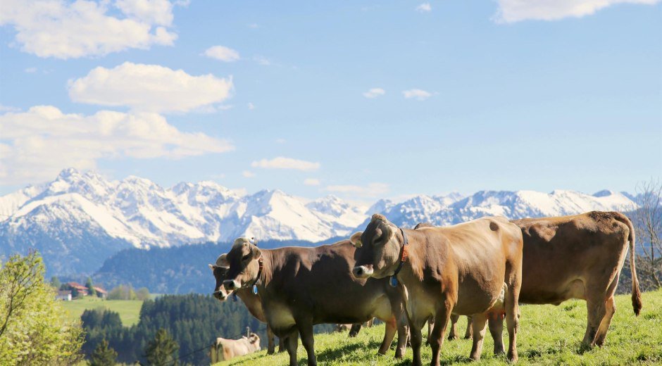 Bergbauern-Sennerei Hüttenberg - Allgäuer Mädels © Bergbauern-Sennerei Hüttenberg