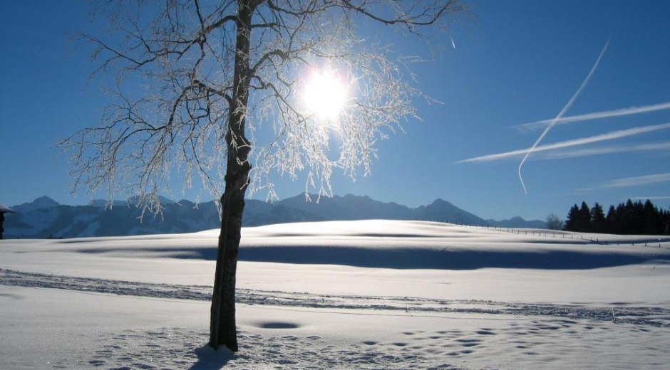 Winterwanderung zur Wittelsbacher Höhe bei Ofterschwang © Tourismus Hörnerdörfer, MA