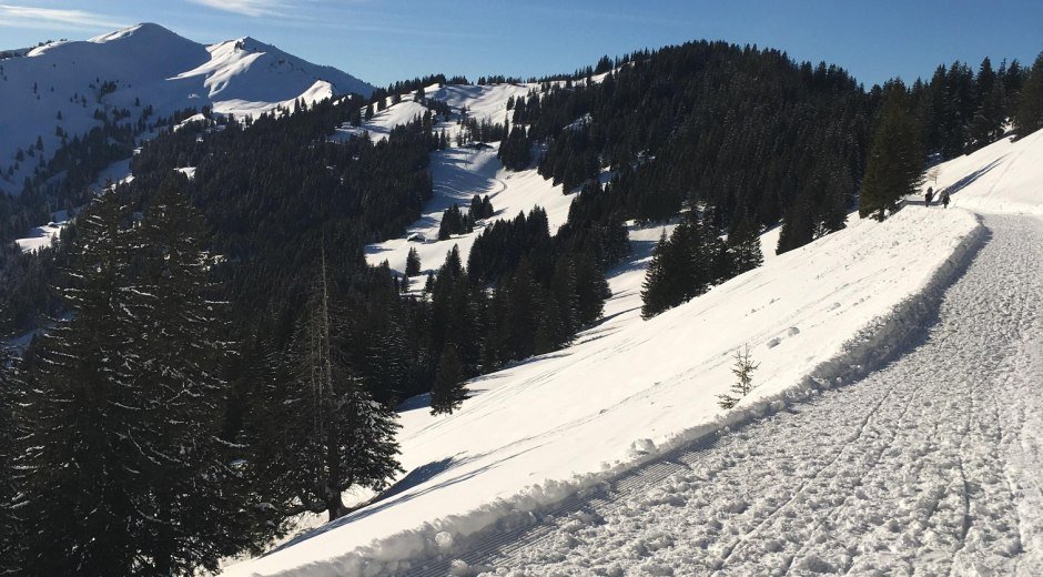 Gewalzter Winterwanderweg an der Hörnerbahn © Tourismus Hörnerdörfer, S. Salzberger