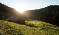 Blick auf die Schwabenalpe © Tourismus Hörnerdörfer, F. Kjer