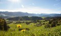 Aussicht auf Hüttenberg bei Ofterschwang