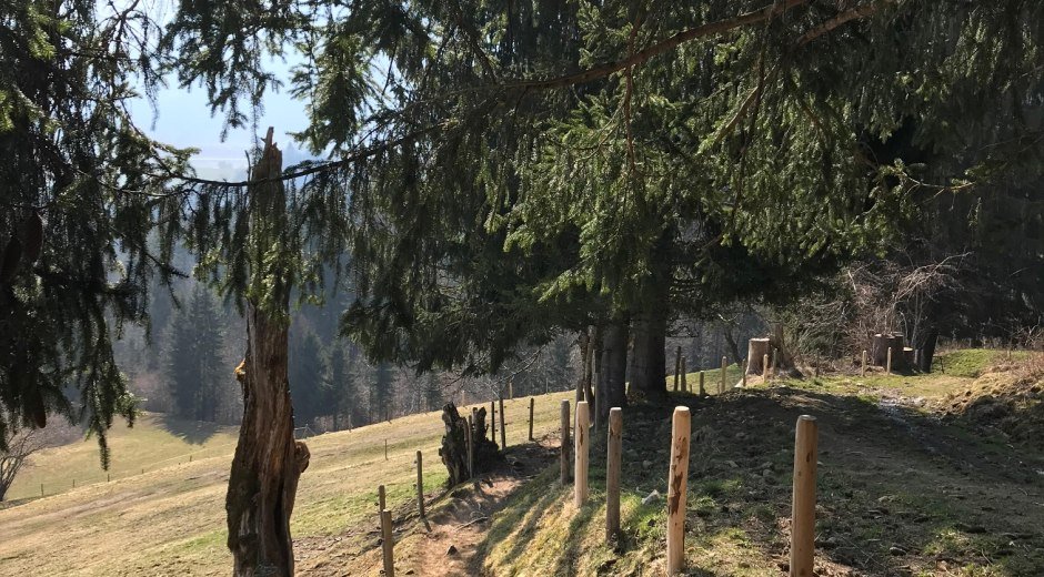 Bergblick Wanderweg