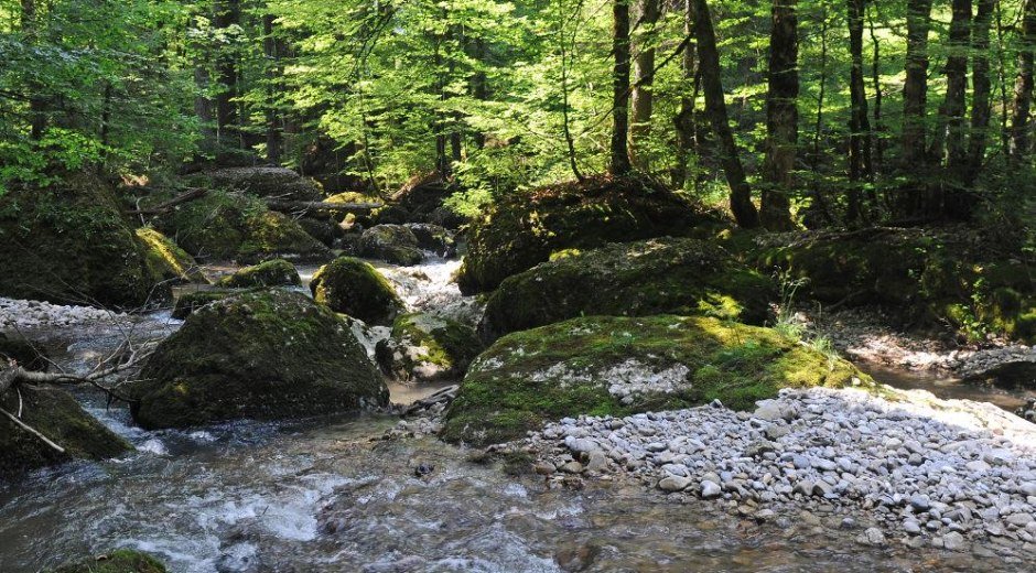 Radtour ab Balderschwang: Lecknertal - Scheidewang - Höllritzer Alpe