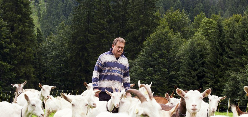 Franz zwischen seiner Ziegenherde © Alpengasthhof Schwand