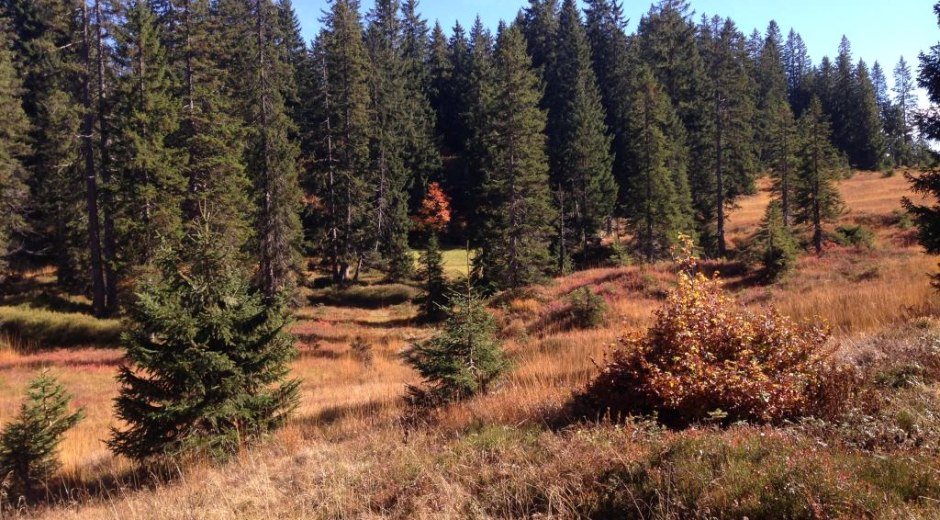 Hochheide