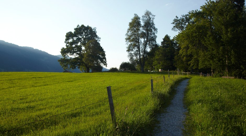 Weg durch die Wiesen