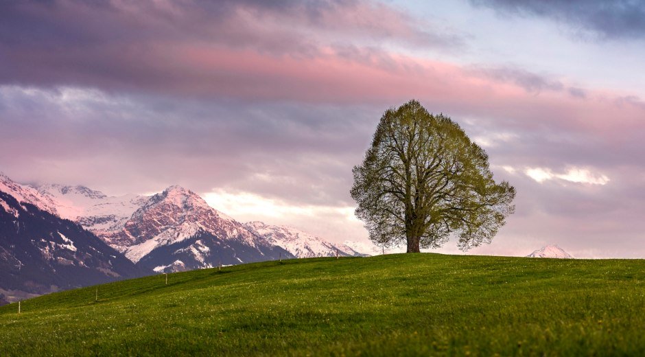 Wittelsbacher Höhe im Abendlicht © Eren Karamann