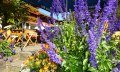 Terrasse des Dorfladens in Bolsterlang © Tourismus Hörnerdörfer GmbH