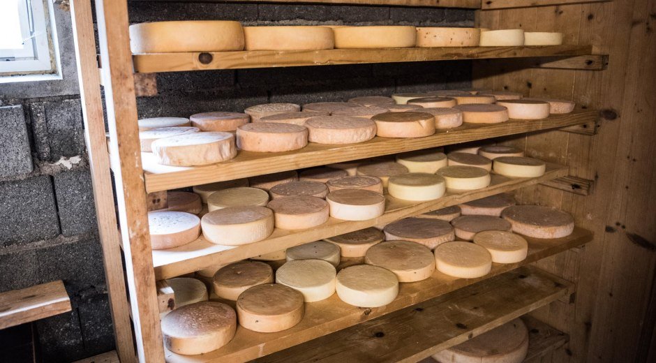Lagernder Weichkäse im Käsekeller © Tourismus Hörnerdörfer, F. Kjer
