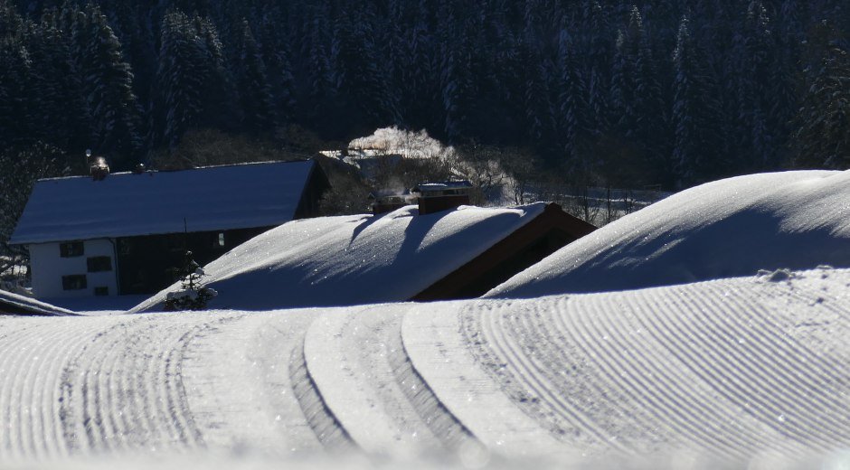 Loipe in Balderschwang © Tourismus Hörnerdörfer, R. Knebel
