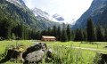Gutenalpe bei Oberstdorf © Tourismus Hörnerdörfer, H. Besler