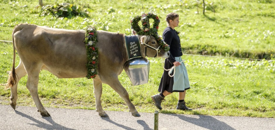 Kranzkuh mit Hirtin - Viehscheid in Balderschwang © Tourismus Hörnerdörfer, ProVision Media