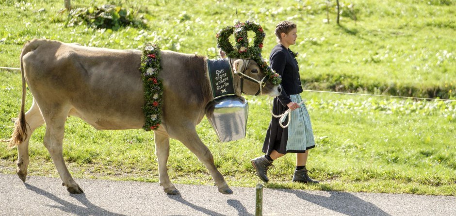 Kranzkuh mit Hirtin - Viehscheid in Balderschwang © Tourismus Hörnerdörfer, ProVision Media